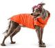 Пуховик Noble Pet Bobby B4140/2XL Orange - изображение 4