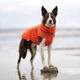 Пуховик Noble Pet Bobby B4140/2XL Orange - изображение 9