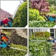 Кусторез аккумуляторный 21V для ухода за садом, 2 аккумулятора, зарядное, ASR729 - изображение 5