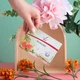 Мінеральний коплекс для відновлення Ресторейт Екзотік Фітлайн, FitLine Restorate Exotic, 30 пакетиків, Німеччина - изображение 4