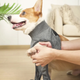 Гигиенические трусы/комбинезон для собак WanTalk Full Body Dog Diaper, Grey, M - изображение 4