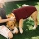 Гигиенические трусы/комбинезон собак WanTalk Full Body Dog Diaper, Wine Red, XS - изображение 5