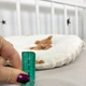 Подарочный комплект для новорожденного "Мишки" бежевый - изображение 9