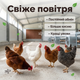 Випарна панель 200х60х15cм паперова охолоджувальна для теплиць ферм охолоджуючий целюлозний модуль клімату - зображення 6
