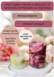 Набор свечей ручной работы декоративные ароматизированные свечи в наборе из 2 шт на овальной подставке с лепестками пиона и зеленой гортензии аромат сандал - изображение 1