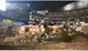 Игра Sony PlayStation 4 MX vs. ATV Supercross Encore Английская Версия Б/У - изображение 3