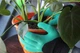 Садовые перчатки c когтями Garden Genie Gloves | Джени Гловес - изображение 5