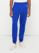 Спортивные штаны утепленные мужские GAP 819319606 L Синие (1159853499) - изображение 1