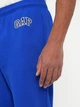 Спортивные штаны утепленные мужские GAP 819319606 L Синие (1159853499) - изображение 5