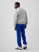 Спортивные штаны утепленные мужские GAP 819319606 L Синие (1159853499) - изображение 7