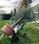 Електричний візок ZIPPER ZI-ET260 - зображення 8