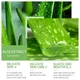 Гель для обличчя та тіла з екстрактом алое вера SADOER Aloe Vera Moisturizing Gel, 300 г - изображение 2