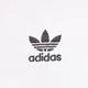 Футболка хлопковая оверсайз длинная женская Adidas Originals Essentials Boyfriend JC8967 XS White (4067902732169) - изображение 11