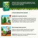 Удобрение твердое COMPO длительного действия для хвойных 0,85 кг (3854) - изображение 7