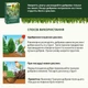 Удобрение твердое длительного действия для хвойных COMPO 2 кг (3856) - изображение 7