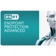 Антивирус Eset PROTECT Advanced 24 ПК 1 год защита офисных ПК и локальный контроль - изображение 1