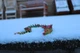 Декоративний Артикуляційний Дракон Articulated Christmas Dragon 3Д Друк Синій 50 См - зображення 3
