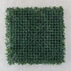 Фитомодуль искусственный "Самшит", 50*50 см (19295-023) - изображение 6