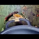 Козан узбецький «Дует» 8л з кришкою-сковородою - зображення 4