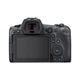 Цифровой фотоаппарат Canon EOS R5 + RF 24-105 f/4.0 L IS (4147C069) - изображение 2