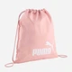 Рюкзак спортивный 14 л вмещает формат А4 Puma Phase Essentials 09116328 Rosy Outlook (4069162047120) - изображение 1