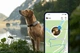 Lokalizator GPS Tractive Dog XL Adventure Edition wodoodporny Szary (9120056451753) - obraz 3