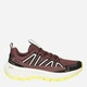 Женские кроссовки для треккинга Jack Wolfskin Wild Hike Low W A65582-J0127 39.5 (6UK/8USA) 25.1 см Разноцветные (4064886678070) - изображение 1