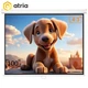 Проекционный экран ATRIA MWM-NTSC-100D настенный ручной 100" 203x153см 4:3 - изображение 1