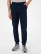 Спортивные штаны мужские Pierre Cardin G021SZ0OP-000-2235101(lacivert) M Темно-синие (8683858798767) - зображення 1