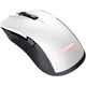 Мышь Trust GXT 923 YBAR WL White (24889) - изображение 1