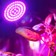 Лампа для рослин фітолампа LED Grow Light E27 60LED 220В (500327) - зображення 2
