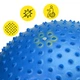 Мяч для фитнеса (фитбол) Cornix 65 см массажный Anti-Burst XR-0483 Blue - изображение 2