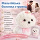 Собака из роз "Мальтийская болонка" KR-22 в подарочной коробке Оригинальный подарок из искусственных роз - изображение 1