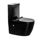 Унітаз-моноблок Ermin BG JL 65*36.5*79 black ( А0059573 ) - изображение 1