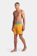 Чоловічі шорти Arena TEAM STRIPE BEACH 008931-380 XL Помаранчевий - изображение 1