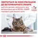 Сухой корм для взрослых кошек Royal Canin Veterinary Urinary S/O Cat 400 г (3182550711043) (39010041) - изображение 9