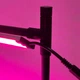 Потужний 38 Вт LED Фіто-Світильник біколор спектру ML38 Violet для вирощування рослин, розсади, квітів на регульованій стійці - изображение 8