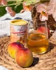 Комплекс вітамінів групи В, концентрація та увага FitLine Activize Peach Ice-Tea Активайз персик 175гр - изображение 7