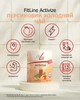 Комплекс вітамінів групи В, концентрація та увага FitLine Activize Peach Ice-Tea Активайз персик 175гр - изображение 4