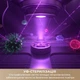 Увлажнитель воздуха Dreame H40 (CVF13A) - изображение 5