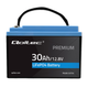 Akumulator Qoltec LiFePO4 Litowo-Żelazowo-Fosforanowy 12.8V 30Ah 384Wh BMS 53703 (5901878537030) - obraz 3