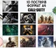Набор постеров "Call of Duty" 10 шт, формат А4 - изображение 1