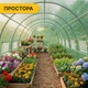 Садовая теплица парник готовая от производителя Garden 18м2 Green Mosquito Door - изображение 9