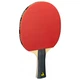 Набір для настільного тенісу Joola Quattro 4 Bats 10 Balls (54818) - зображення 3
