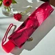 Жіноча парасолька Fulton L346 Photo Rose Red — Повний автомат, 8 спиць, принт "Червоні троянди" (Велика Британія) - зображення 4