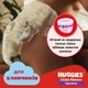 Підгузки-трусики Huggies Little Movers Pants для хлопчиків, розмір 6 (15-25 кг), 88 шт - зображення 8