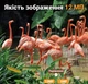 Миниатюрная ночная фотоловушка Suntekcam mini600 12mp для съемки и охраны животных лесная инфракрасная камера с датчиком движения и невидимой ночной подсветкой - изображение 2