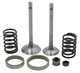 Клапаны (пара, в сборе) VJ Parts мотоблока 177F (9Hp) (mod.A) d6 L80 + 80 арт.gen1053 - изображение 1