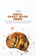 Набор тканевых масок для лица Tenzero Snail Sheet Mask с экстрактом улитки 10 шт х 25 мл (8800000082638) - изображение 2