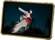 Планшет Ulefone Rugking Pad 2 Pro 4G 8/128GB Yellow (6975326661829) - изображение 11